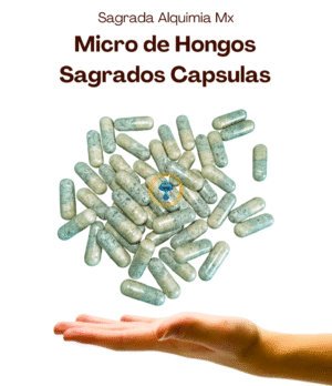 Microdosis de Hongos Sagrados (Psilo)