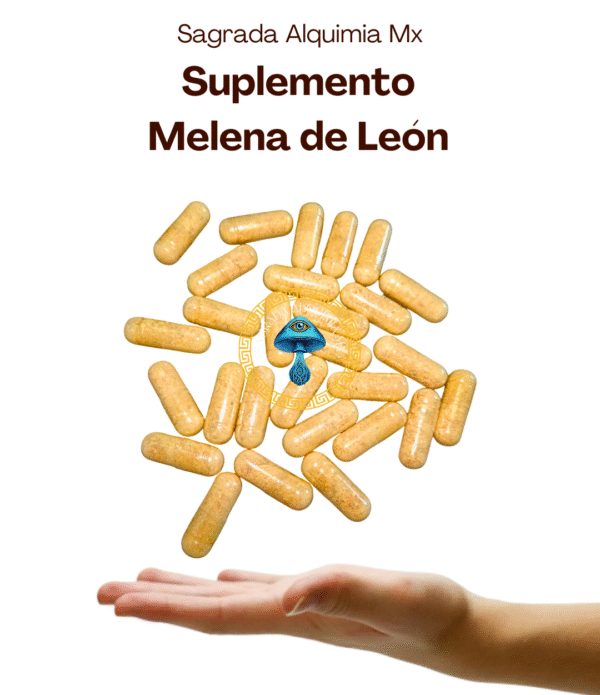 Suplemento de Melena de León (Hericium erinaceus)
